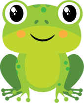 Frog Illustration